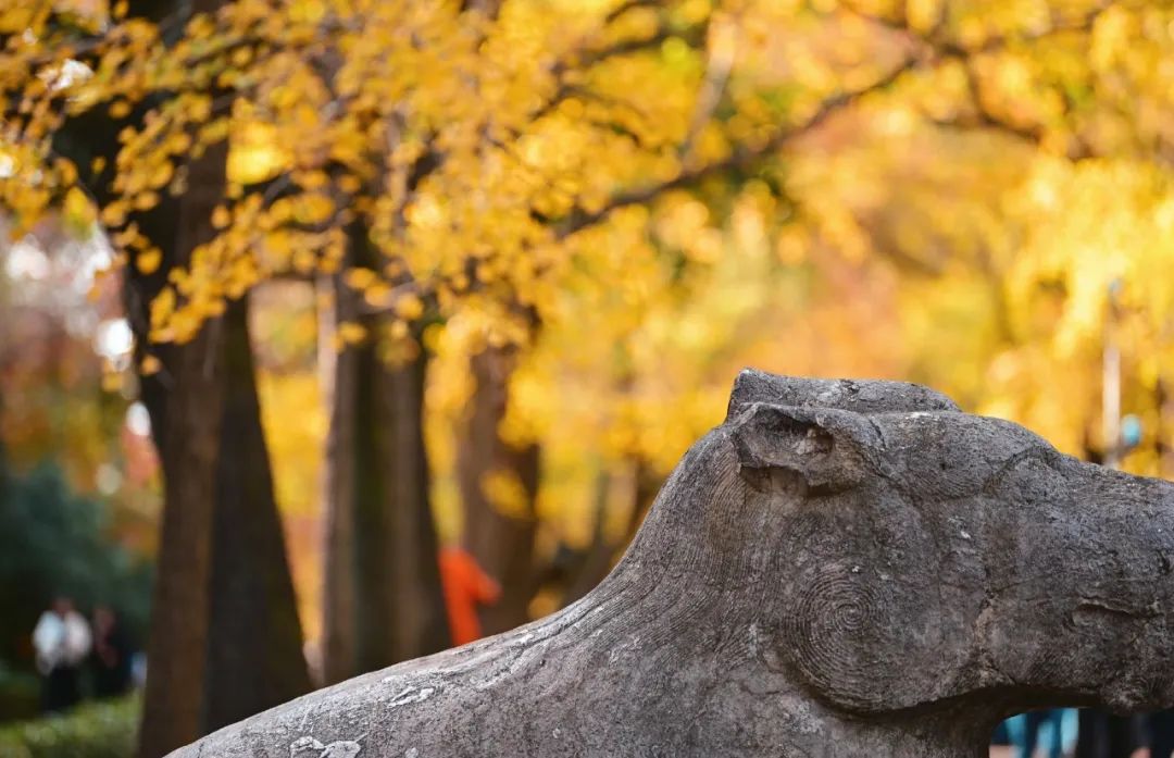 长春出发特价机票四月,长春出发双人旅游套餐含机票团购