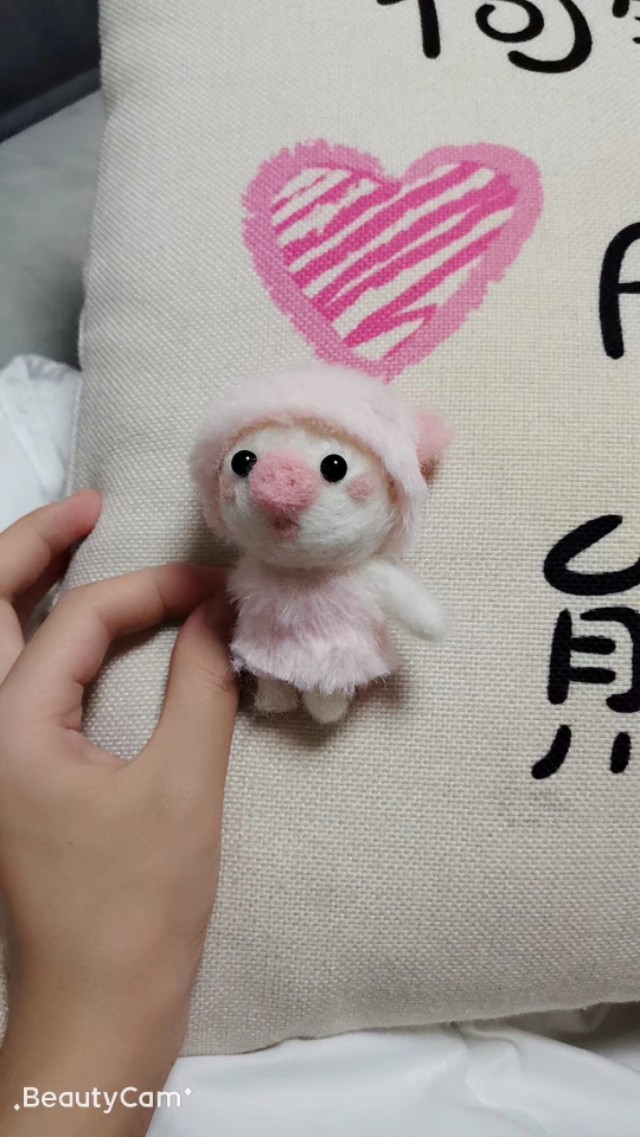 我的孕期记录表,我的孕期记录双胞胎