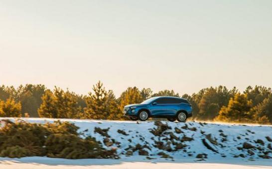 国产之光奇瑞星途汽车,国产之光海马汽车