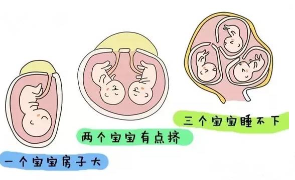 不显怀肚子小,不显怀但是肚子大