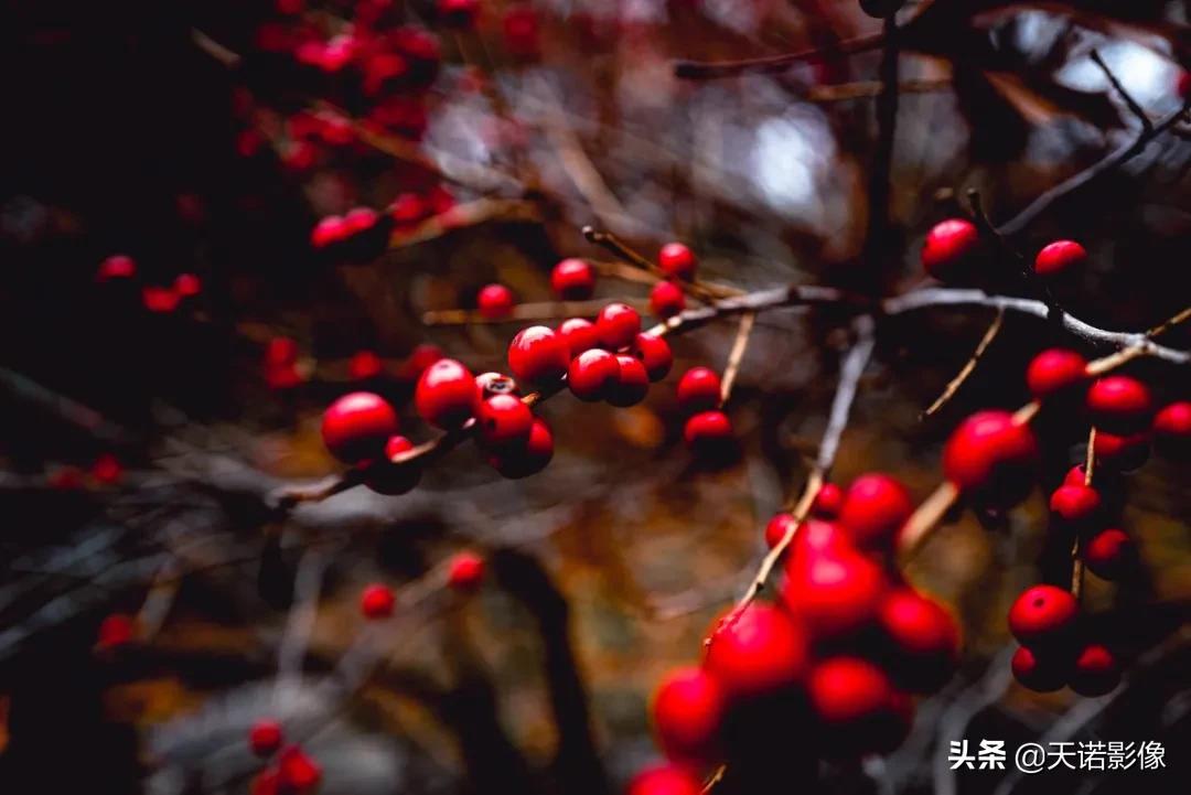 徕卡哪一款2024年最值得入,徕卡最好的是哪一款