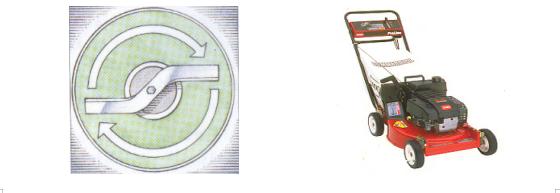 最全最完整的园林植物整形修剪技术规范(转自农林慧小妹,收藏)