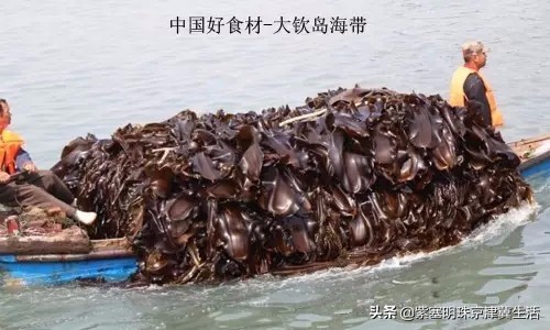 海边度假愉快的周末时光,大钦岛观海渔家