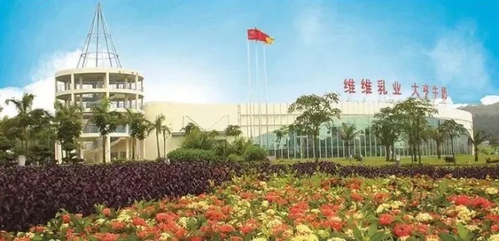 维维豆奶为什么不是以前的味道了,维维豆奶特点