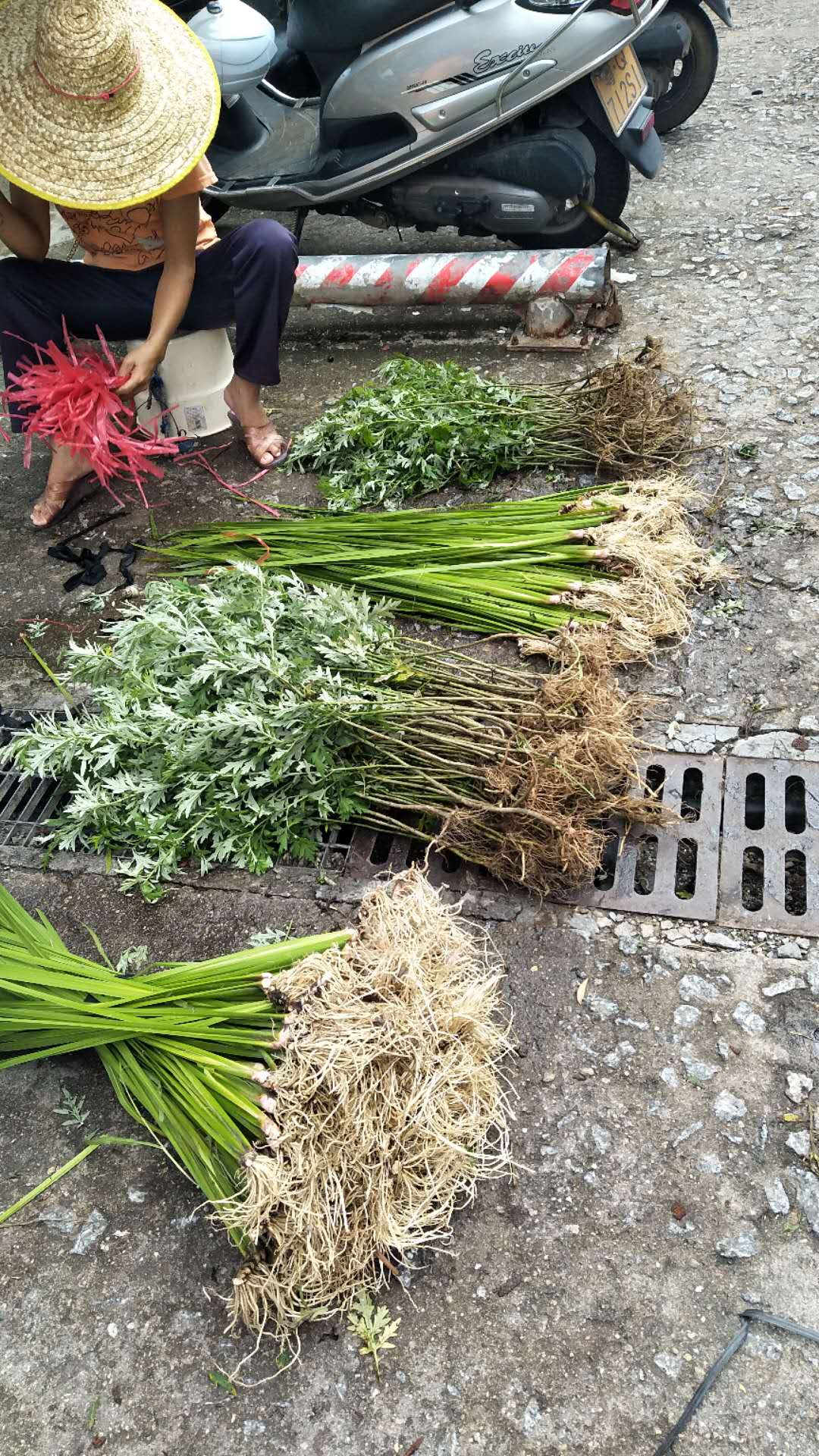 端午节前夕,端午节前夕的放松