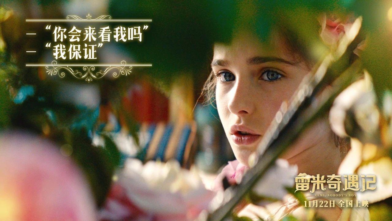 “咪咪流浪记”真人版《雷米奇遇记》：*善美真**治愈一切