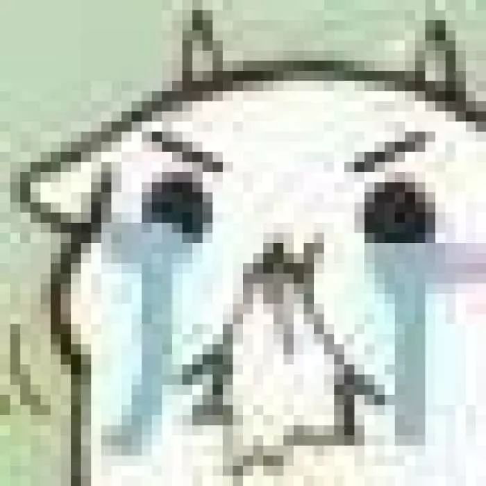 最低只要10块钱!这些网红单品实在是太可怕了!