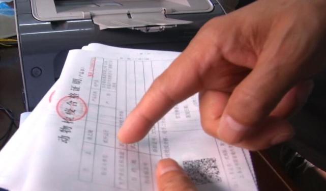 冷冻猪肉价格最新行情,猪肉价格上涨了多少钱一斤