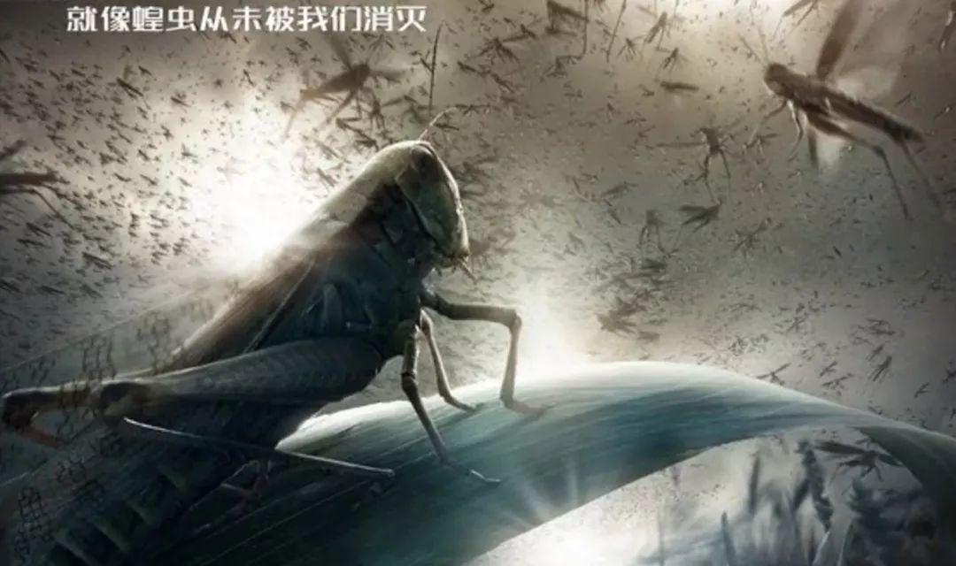 数学规律游戏,数学规律游戏的玩法