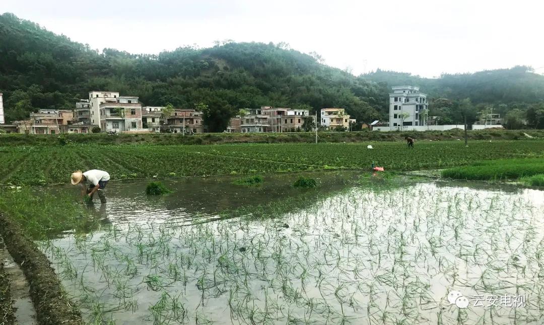 微耕机补助政策,农业补贴政策微耕机