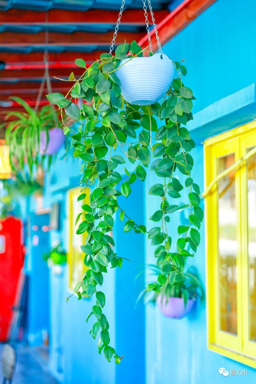 深圳官湖村沙滩游记,深圳冲绳岛游玩攻略