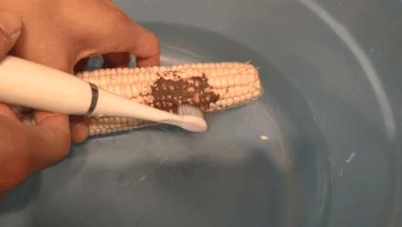 牙黄最有效变白方法,牙黄变白的正确方法学生党