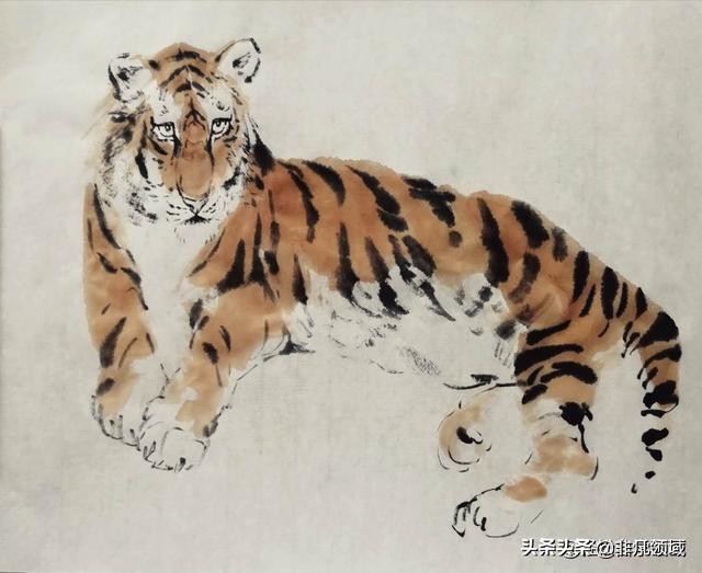国画老虎画法步骤图,国画老虎画法步骤图解