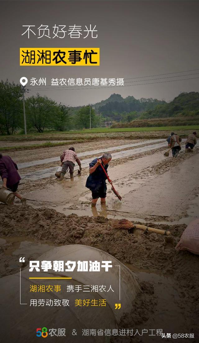 58农服携手“湖湘农事”平台，向所有湖南农民致敬
