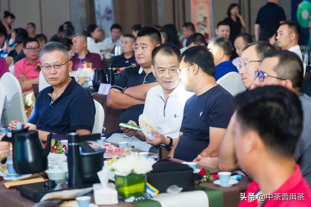 中茶翡翠白菜新品发布会,中茶八八青饼发布