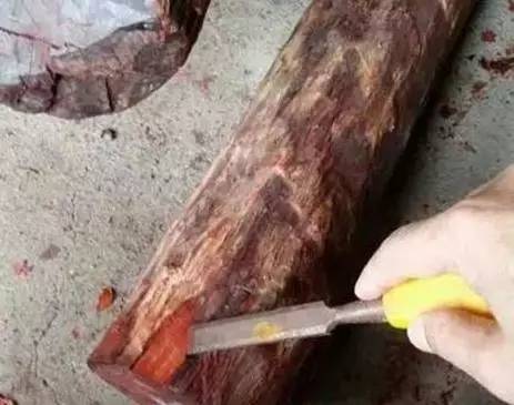 一夜暴富赌石案例,一夜暴富赌石真实经历