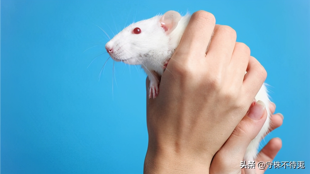 100个细思极恐的冷门知识,16条有趣的冷知识