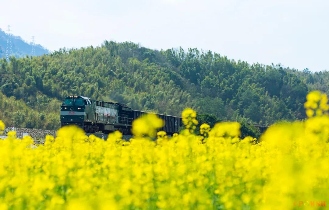 安徽春天美丽的视频,安徽美丽的春天