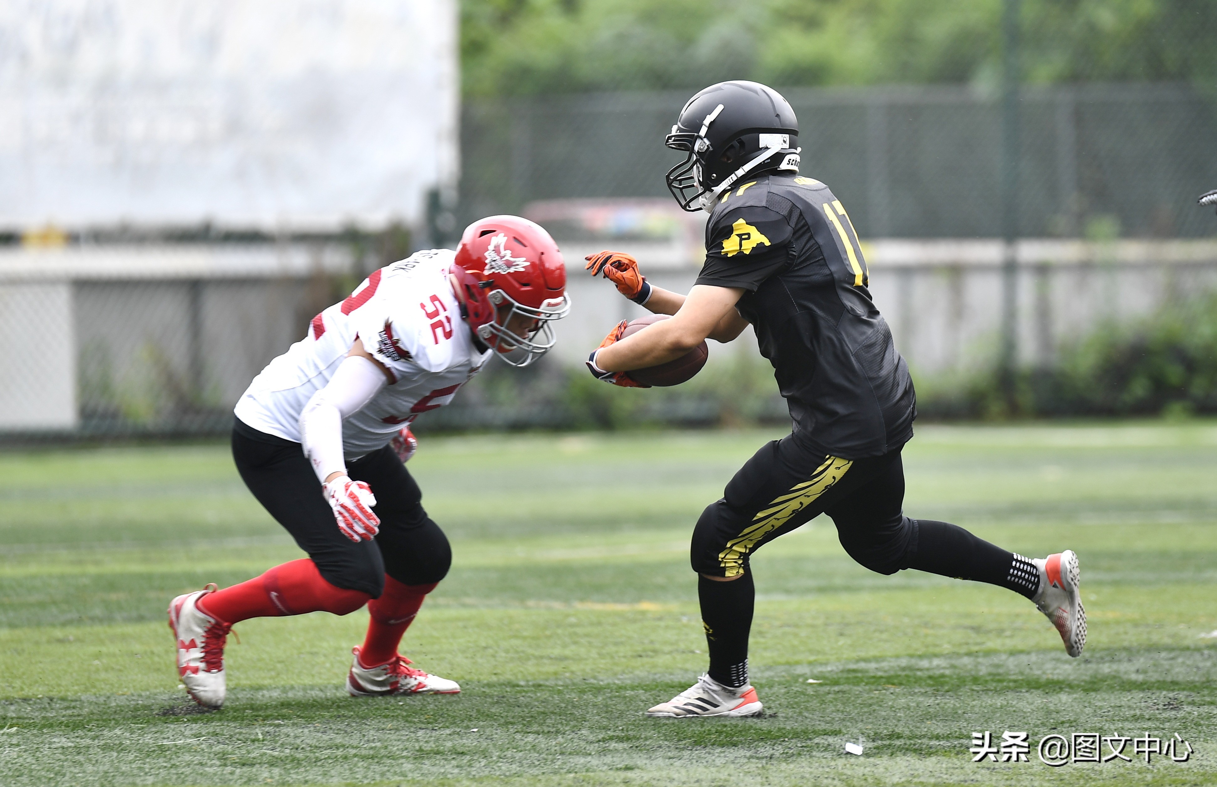 cnfl中国橄榄球联赛官网,cnfl橄榄球队伍