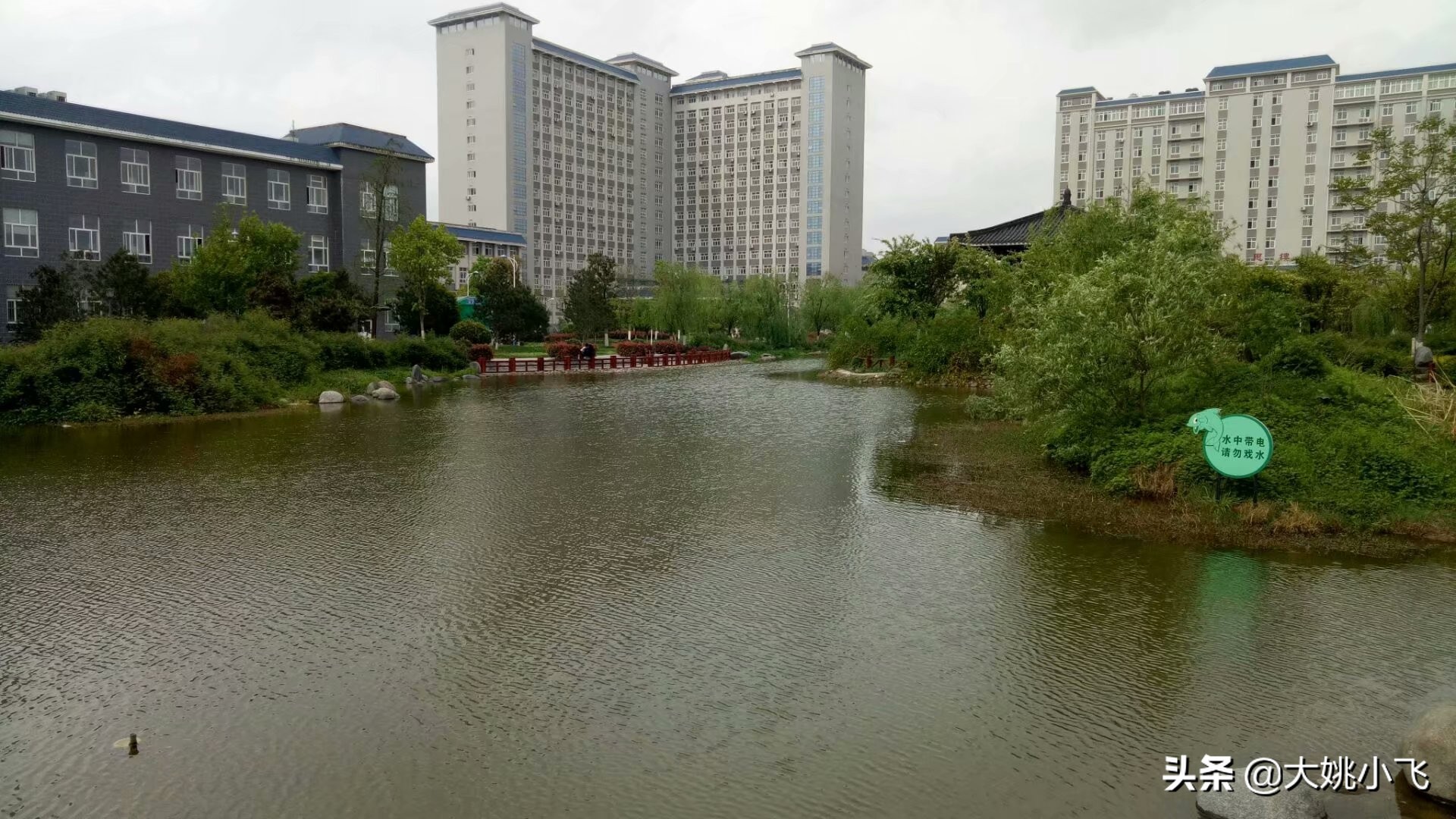 我的大学简介,我的理工大学