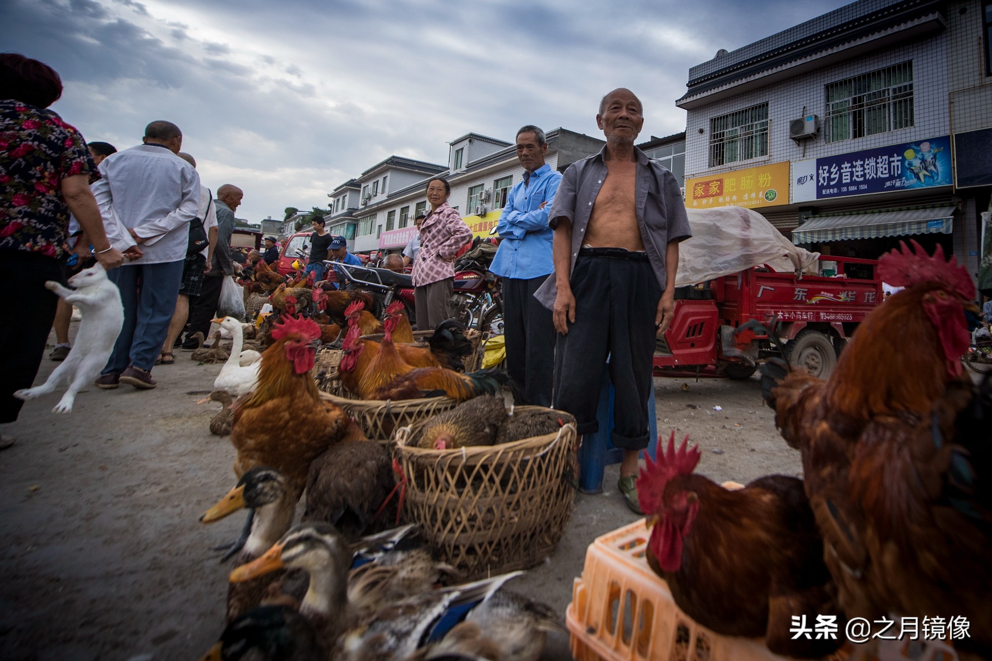 天府新区太平枇杷,成都太平枇杷批发市场