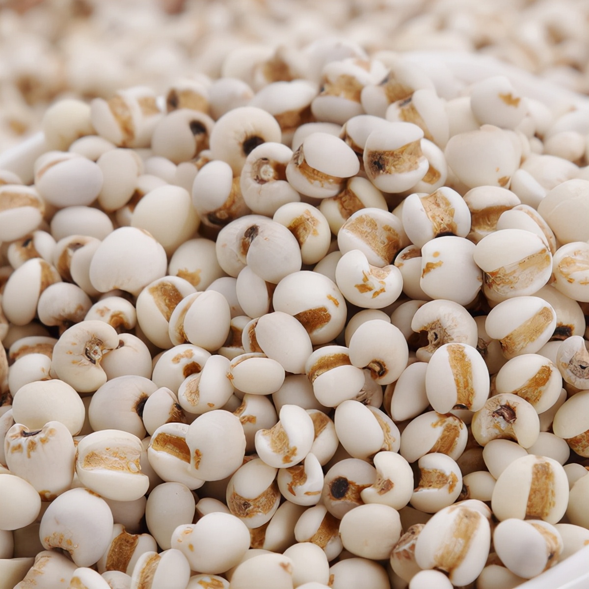 教你制作姜丝薏米茶,自制薏米姜茶的正确做法