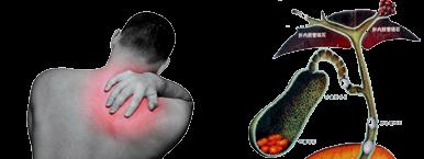 内分泌治疗吃的药物多吗,内分泌治疗可以外用雌激素吗