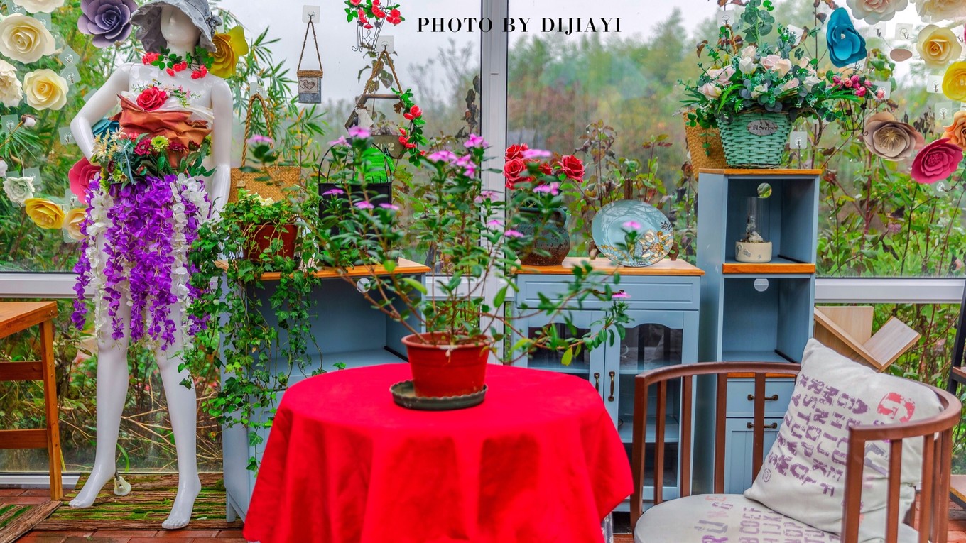 金坛花谷奇缘有什么地方值得打卡,金坛花谷奇缘赏花攻略