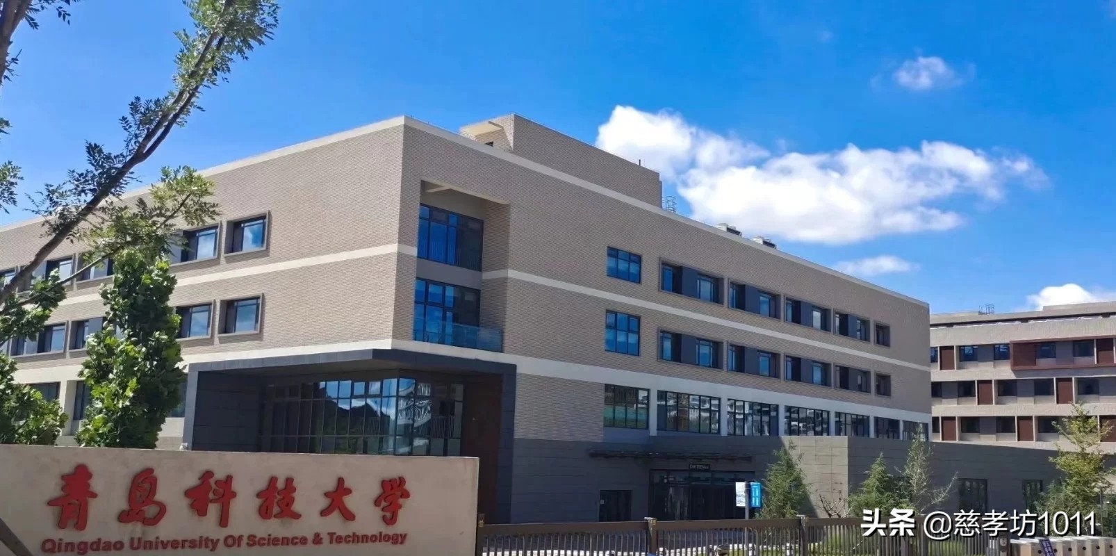 我的大学时光英语,在青岛科技大学读书什么感觉