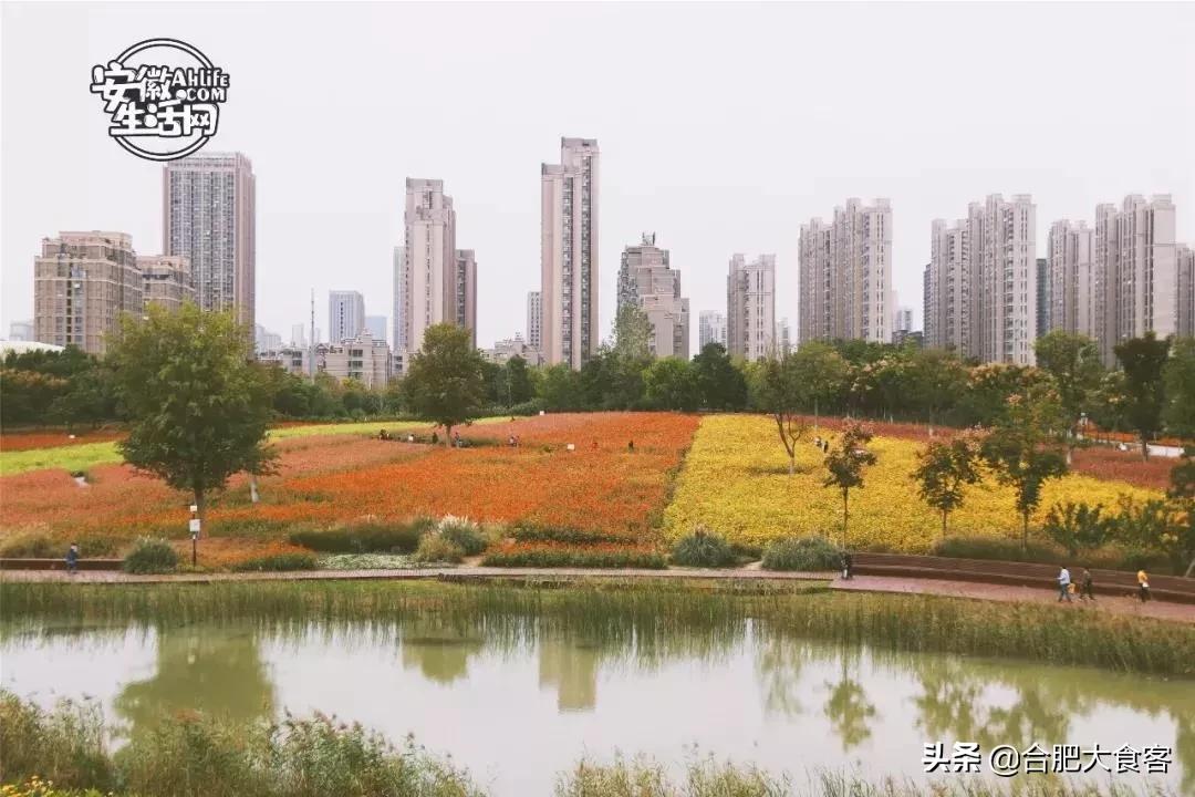 2020年，在这50个地方遇见不一样的合肥
