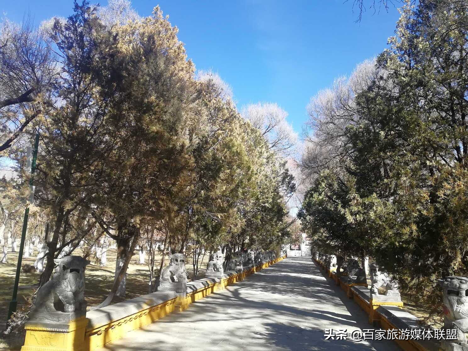 布达拉宫和罗布林卡的区别,罗布林卡和大昭寺