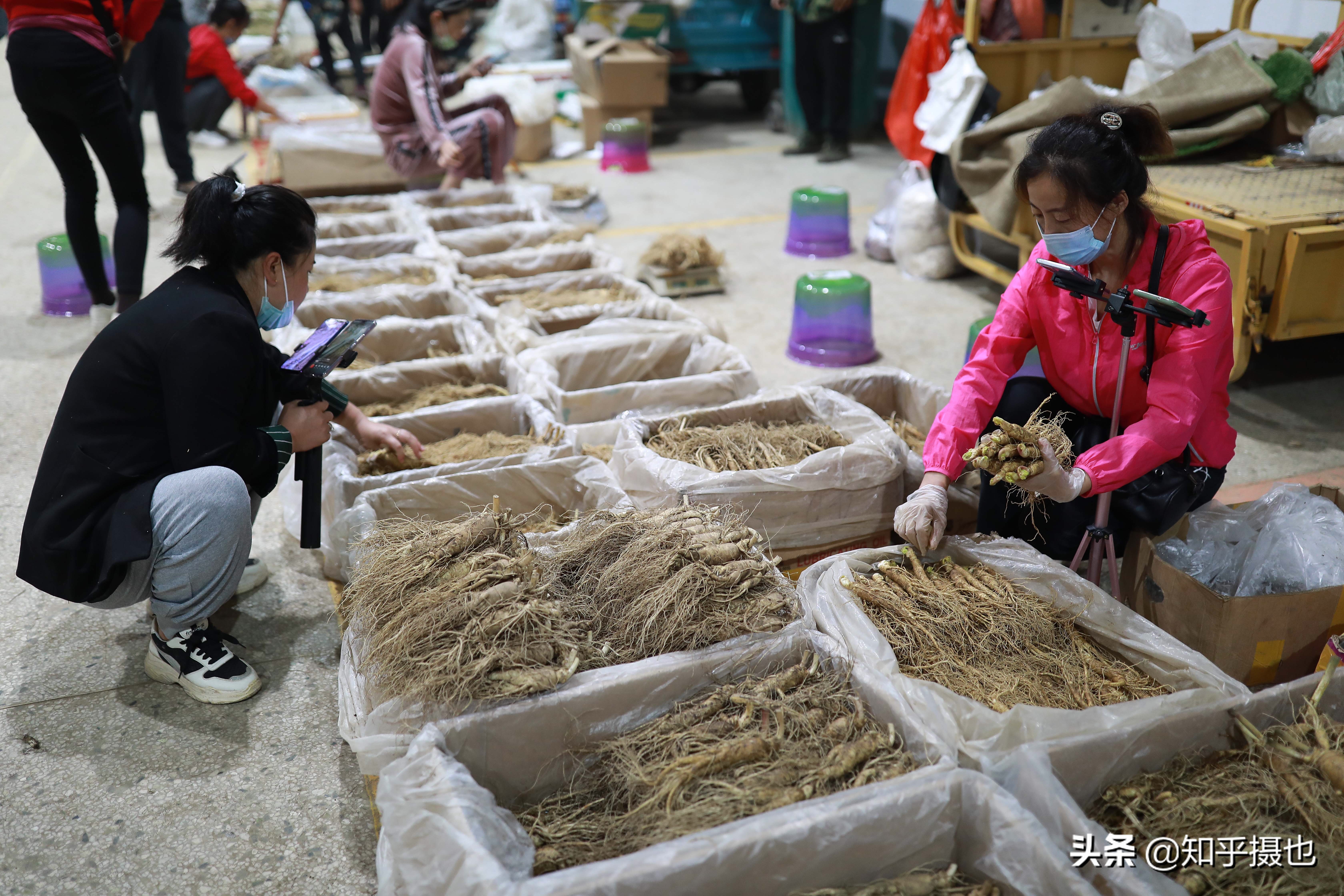 吉林有几个人参交易市场,吉林人参交易市场视频