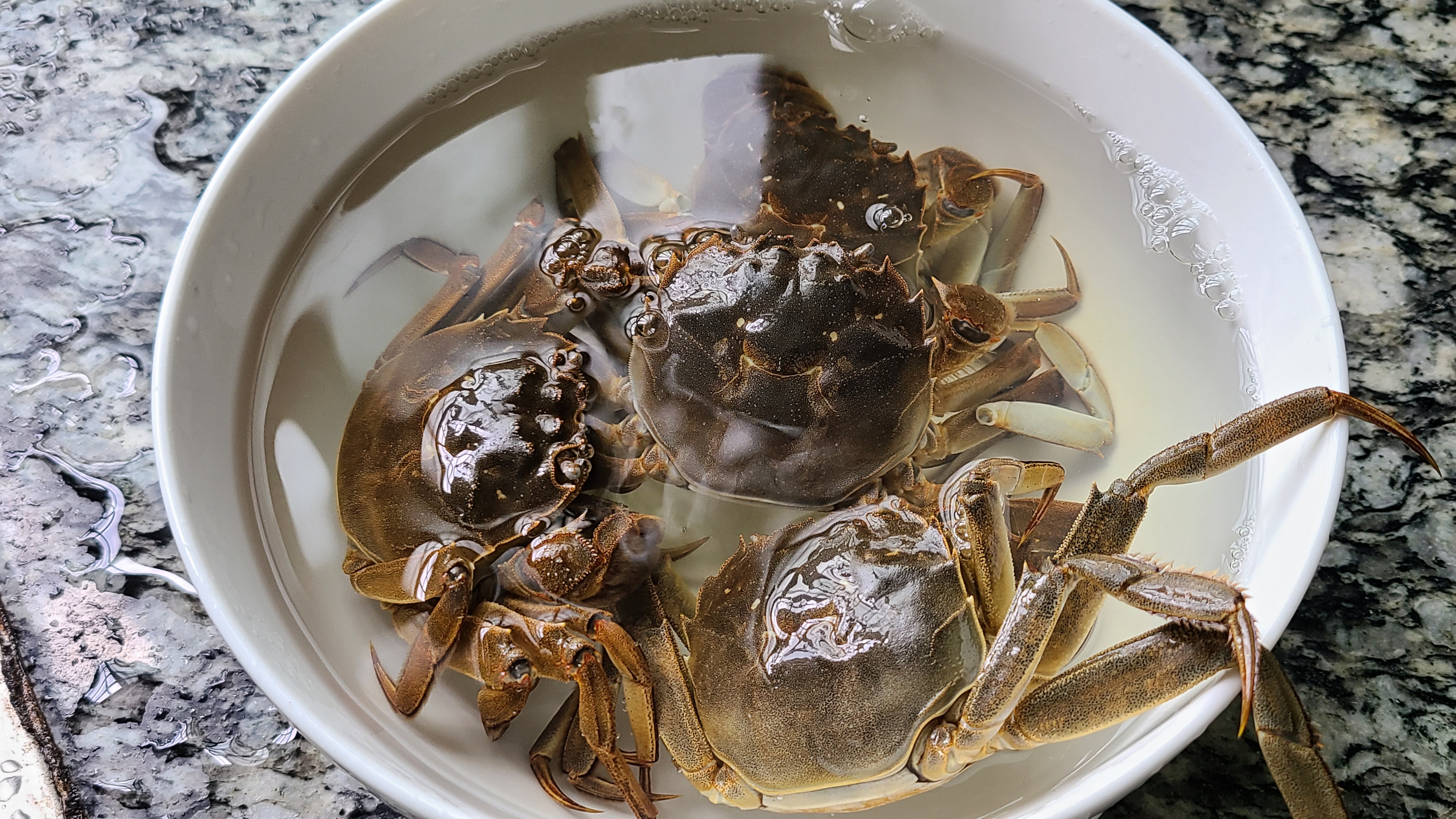 螃蟹的简单好吃做法,螃蟹的家常做法蟹黄是什么样的