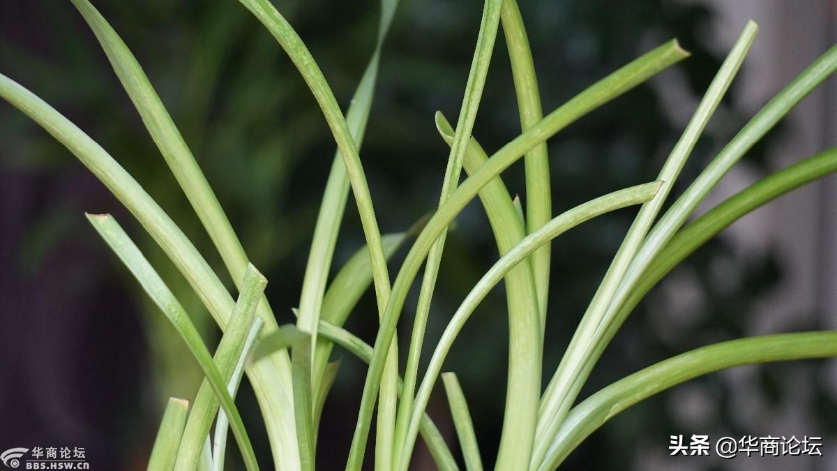 疫情下的城市生活纪录片,西安疫情每天新增记录图