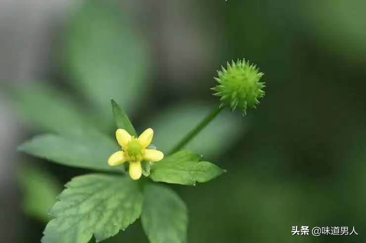 西游记新解读人情世故,西游记解说七情六欲