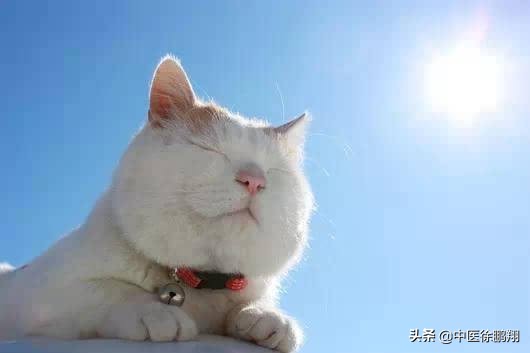 了解自己的身体如何养生,了解自己的体质