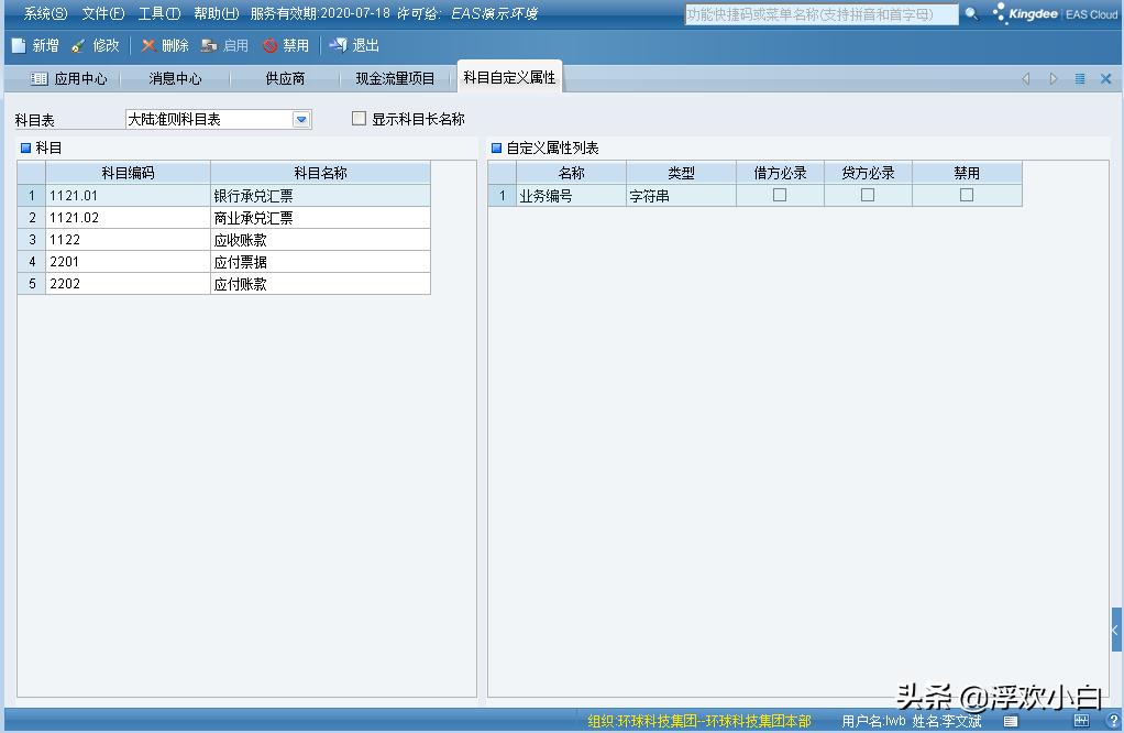 金蝶eascloud科目余额表,金蝶eas自定义报表公式设置