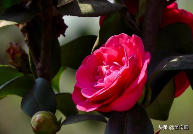 渔浦寒泉生态湿地公园在昆明哪里,昆明渔浦寒泉公园开放了吗