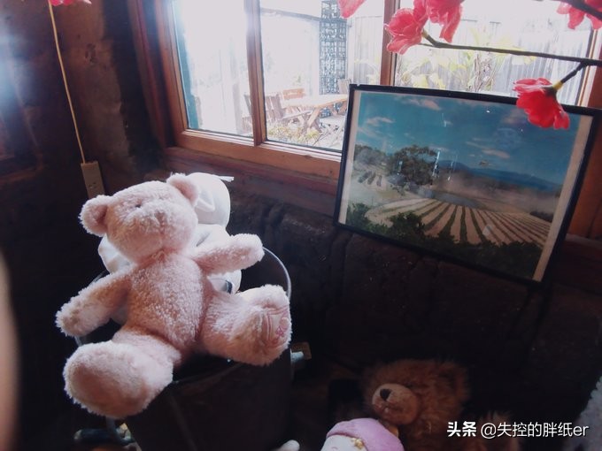 澳大利亚东南自驾游攻略,澳大利亚长途穿越自驾游