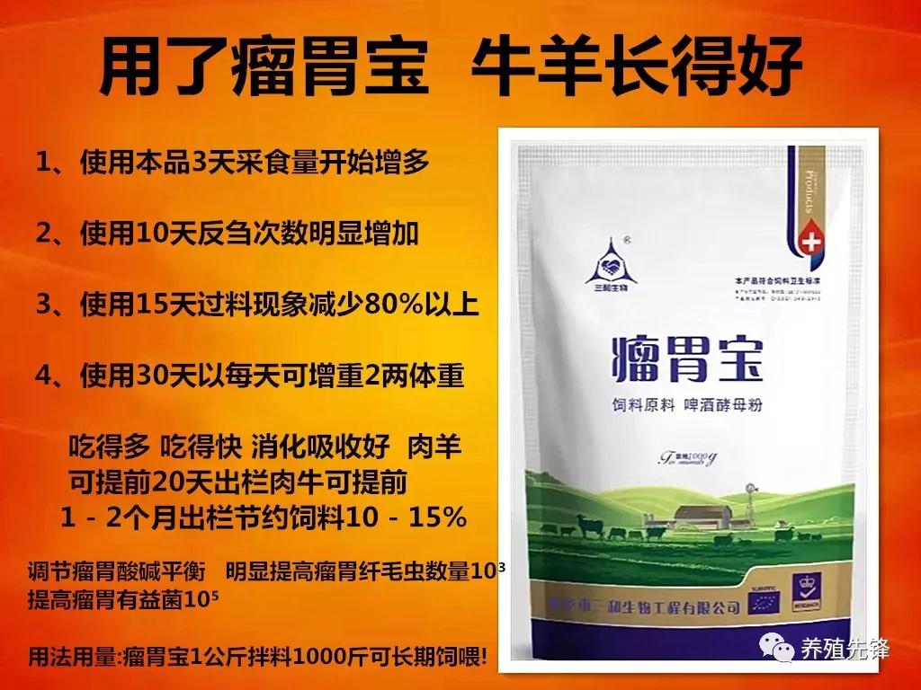 养牛老汉总结的30条养牛经验（1）