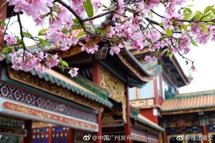 鎭枩浣犱綇鏂版埧浜轰竵鍏存椇,鎭枩浣犱綇鏂版埧璐㈡簮骞胯繘骞哥缇庢弧