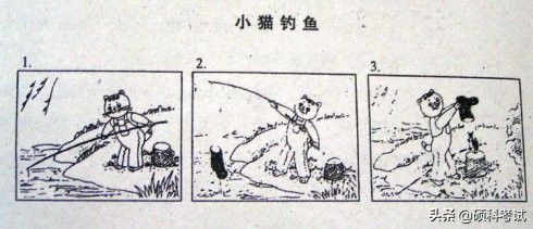 二年级动物捉迷藏看图写话100个字,二年级看图写话图片和范文技巧