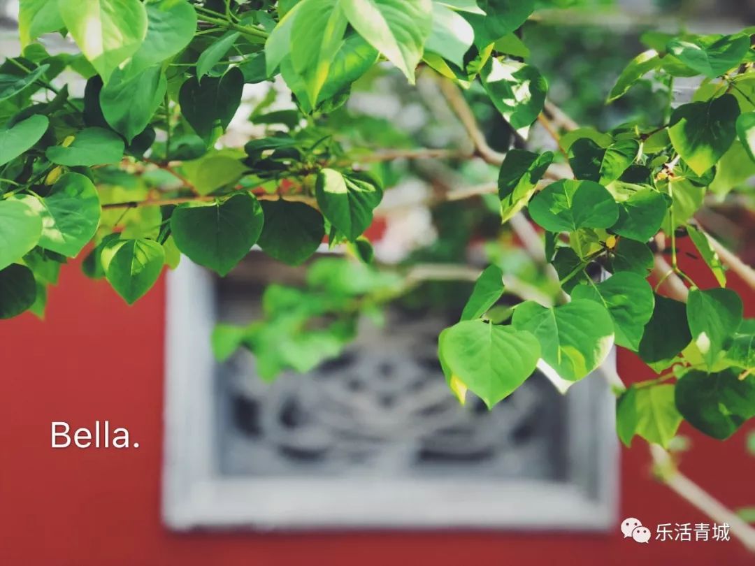 贝拉专访合集,贝拉专栏采访视频