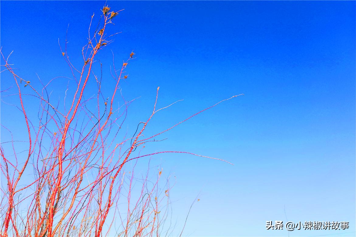 鏈辫开鍜岃但鏈殑鏁呬簨,璧湰鏈辫开