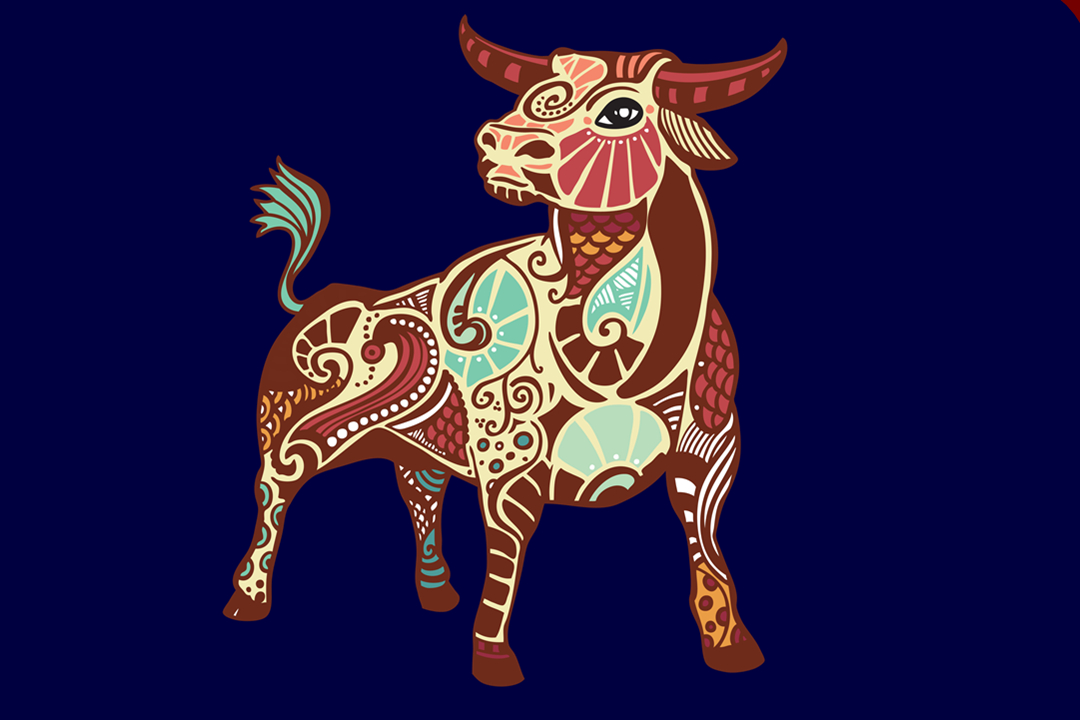 金牛座是不是爱钻牛角尖,金牛座女生钻牛角尖怎么办