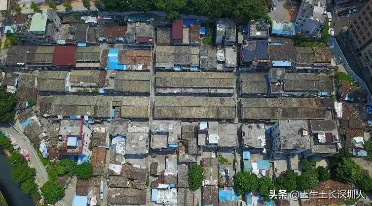 龙华有哪些街道,龙华村的由来