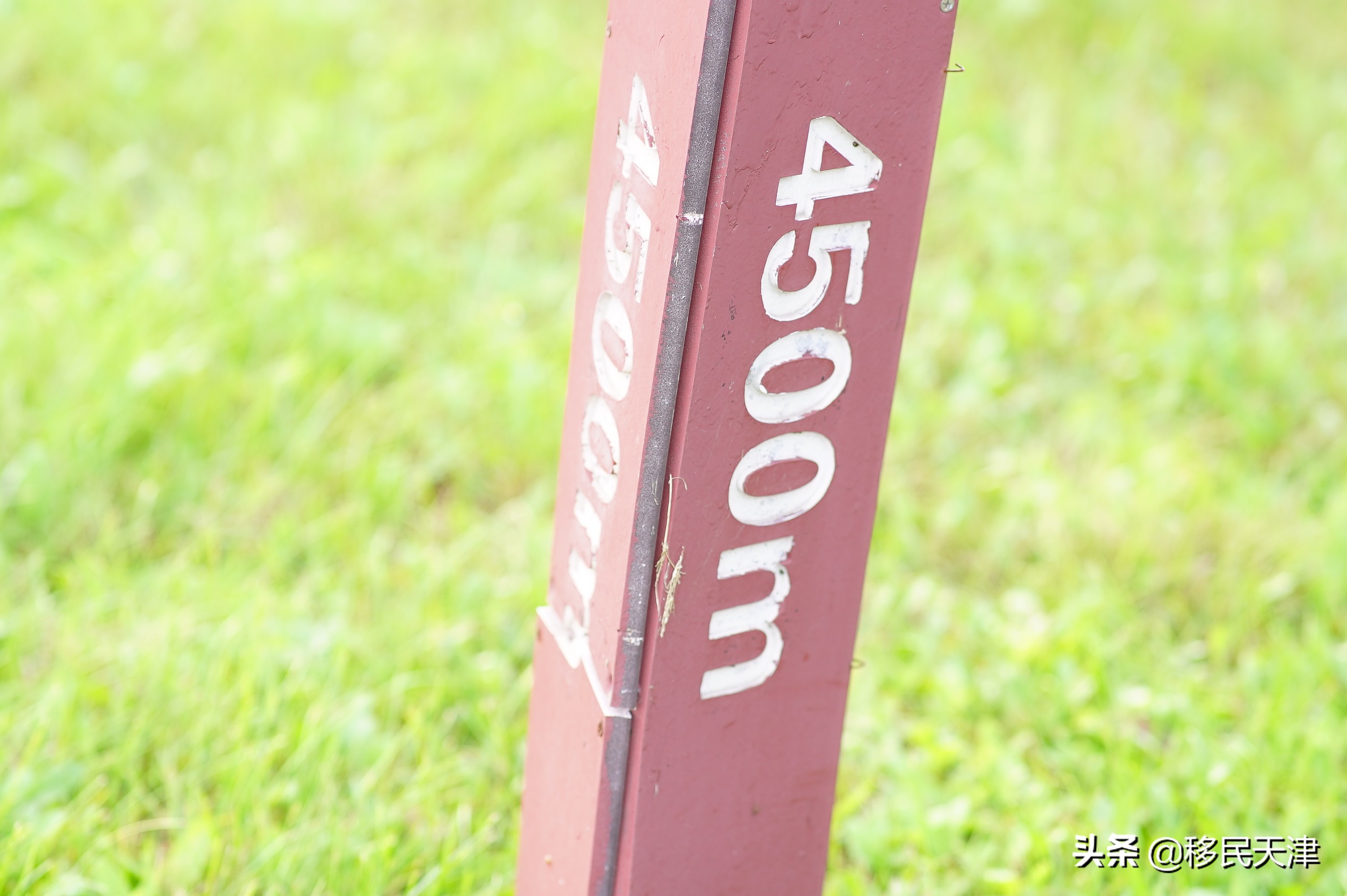 天津武清南湖片区房价,天津武清南湖板块发展