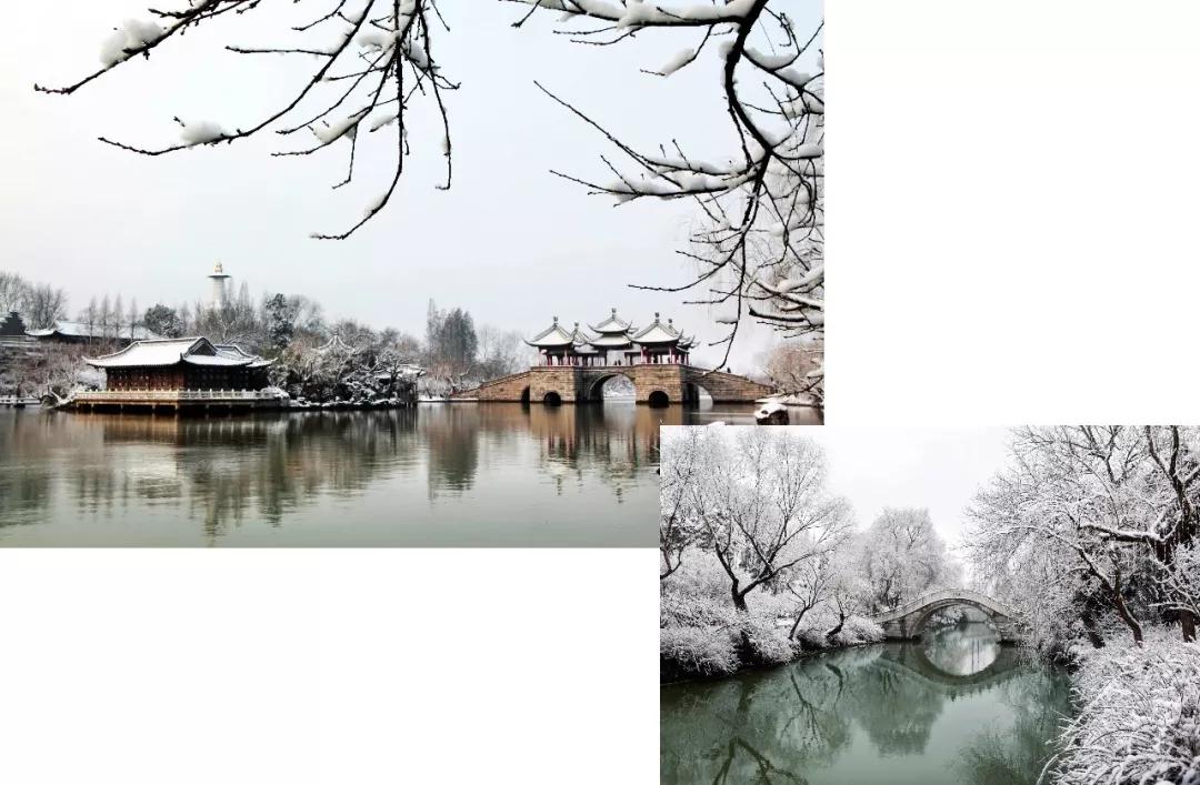 鑻忓窞鍥灄vs鏉窞瑗挎箹,鏉窞瑗挎箹vs鑻忓窞鍥灄