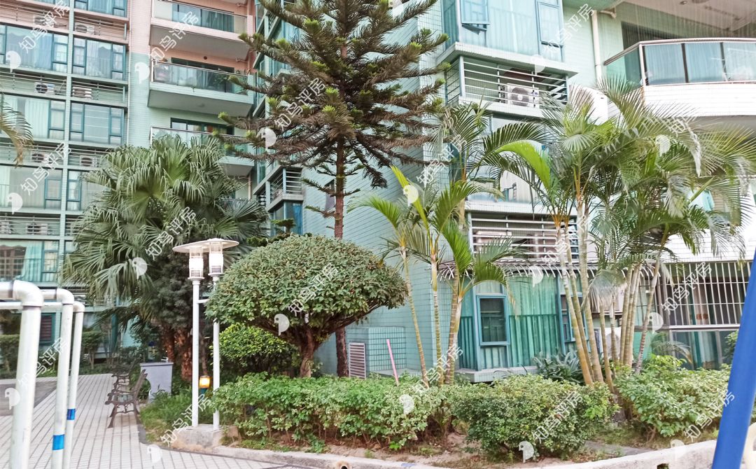 长安地王广场哪一年建成的,长安地王广场和万科广场