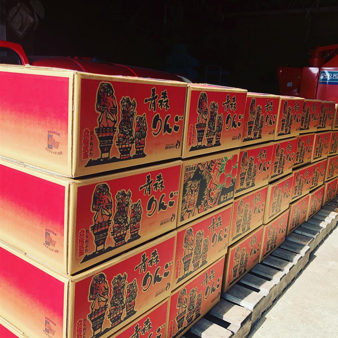 日本青森苹果图片,走进青森苹果园